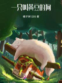 一条叫黄豆的狗